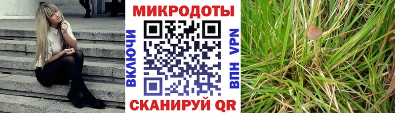 Псилоцибиновые грибы прущие грибы  Купить где  Москва 